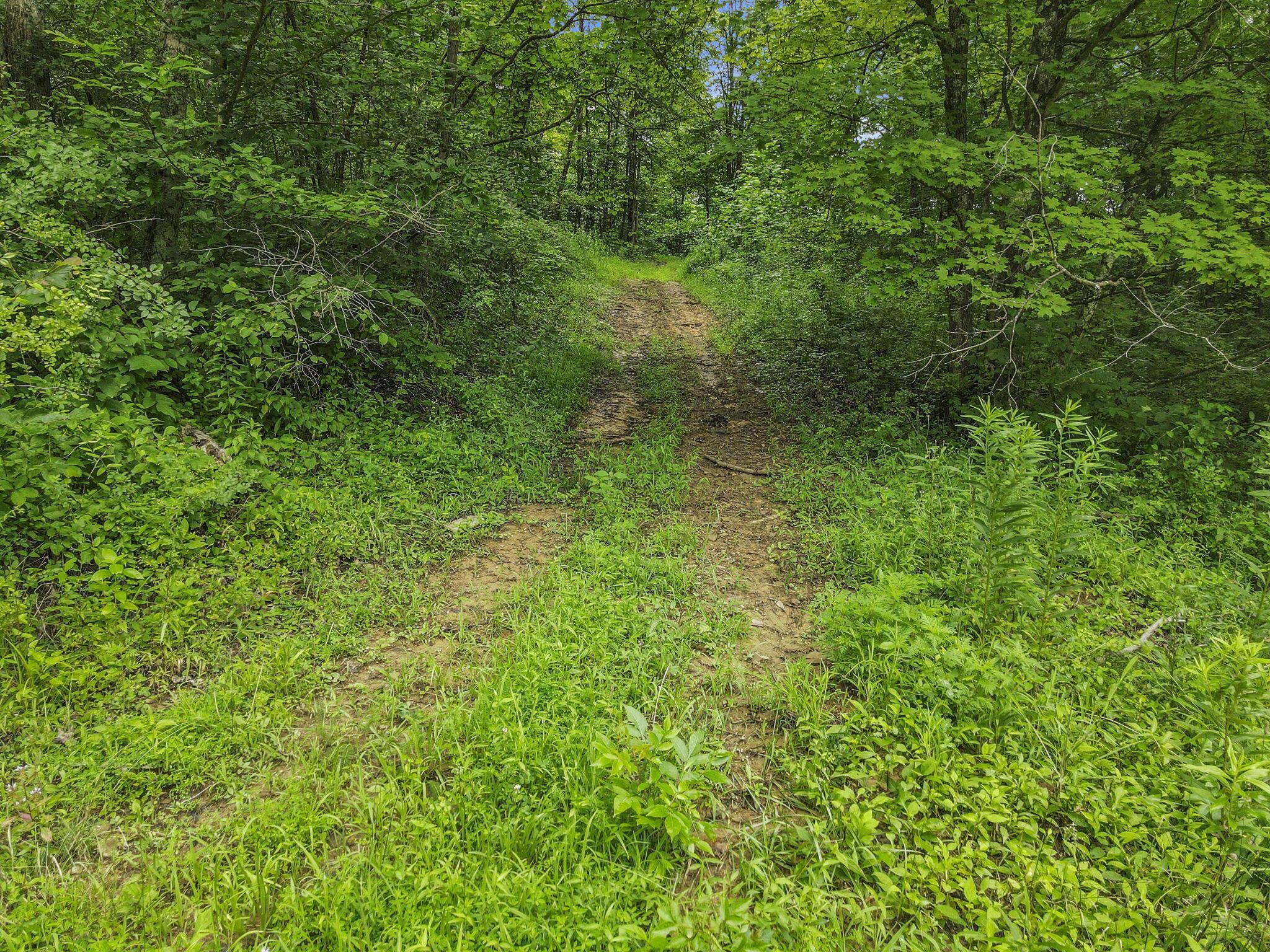 0 Greens Run Road Glouster, OH 45732 - Photo 88 of 121 88-web-or-mls-DJI_0351