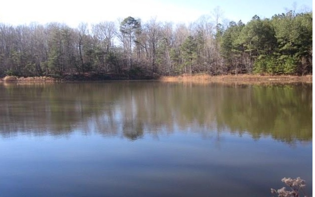 1 Hill City Road Jasper, GA 30143 - Photo 1 of 1 Main View