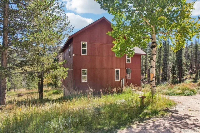 a view of a backyard with plants and large trees