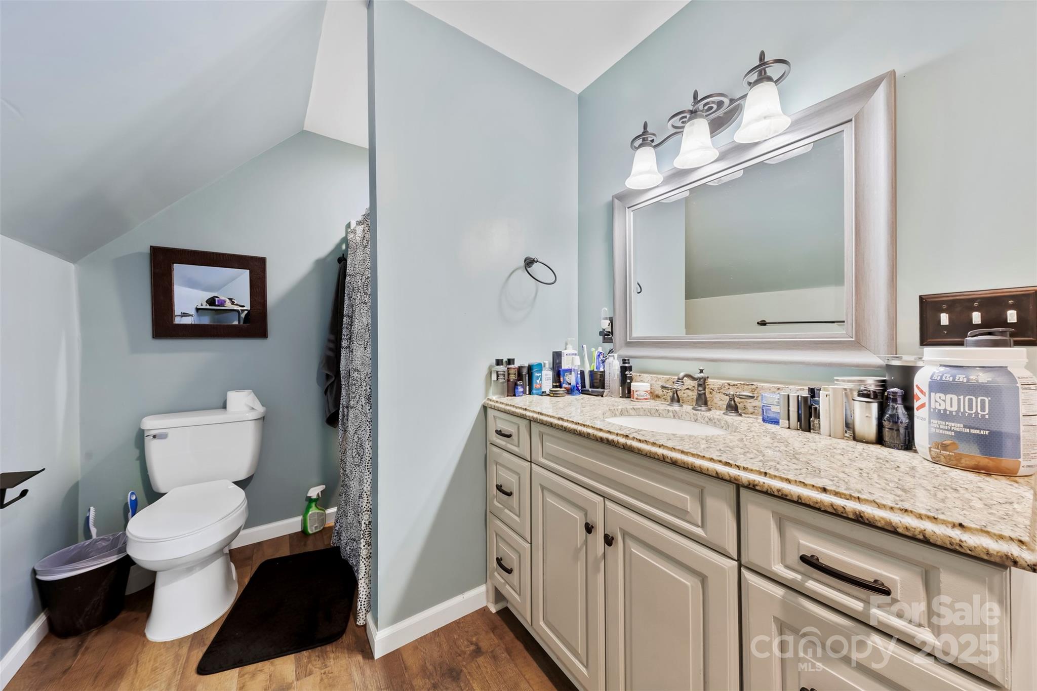1581 Rhyne Road Dallas, NC 28034 - Photo 21 of 25 a bathroom with a toilet sink and mirror