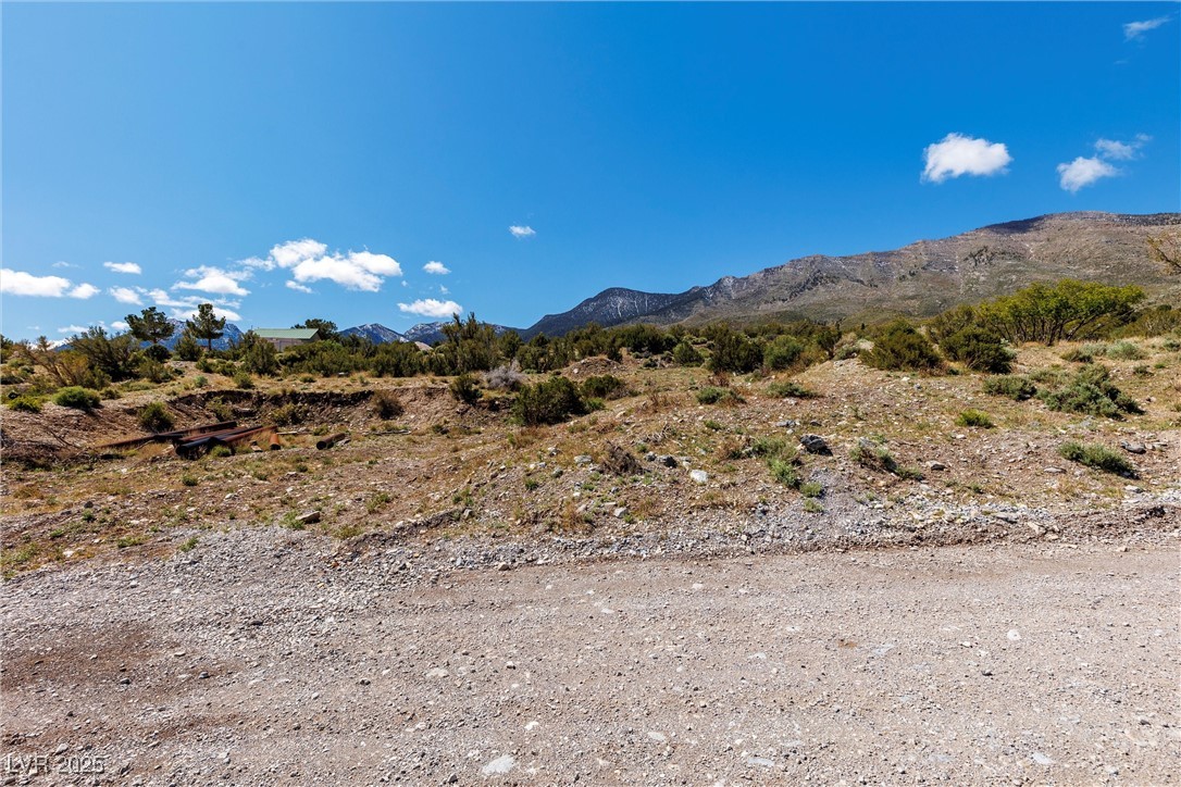 175 Rudin Drive Cold Creek, NV 89124 - Photo 16 of 41