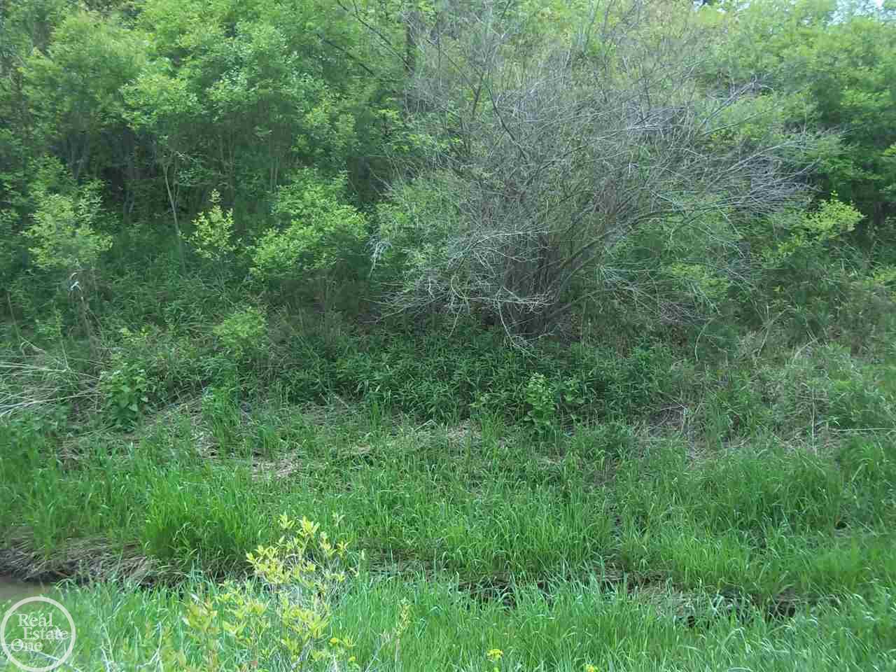 5115 Springborn Road East China, MI 48054 - Photo 35 of 44