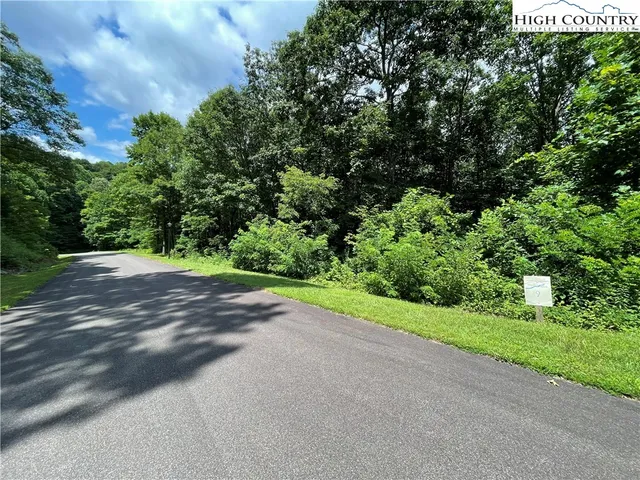 a view of a yard with potted plants and large trees
