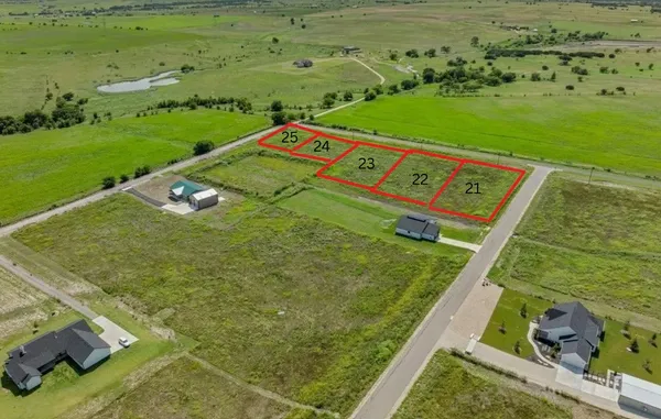 a view of a garden with an outdoor space