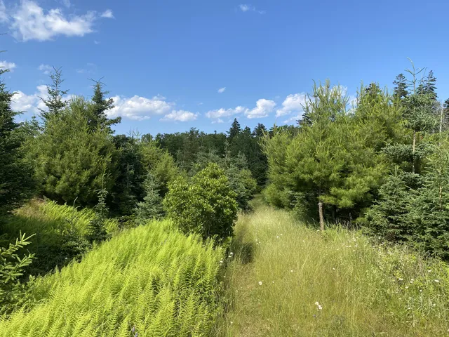 $280,000 | 2 Q Hermit's Point Road, Islesboro, ME 04848