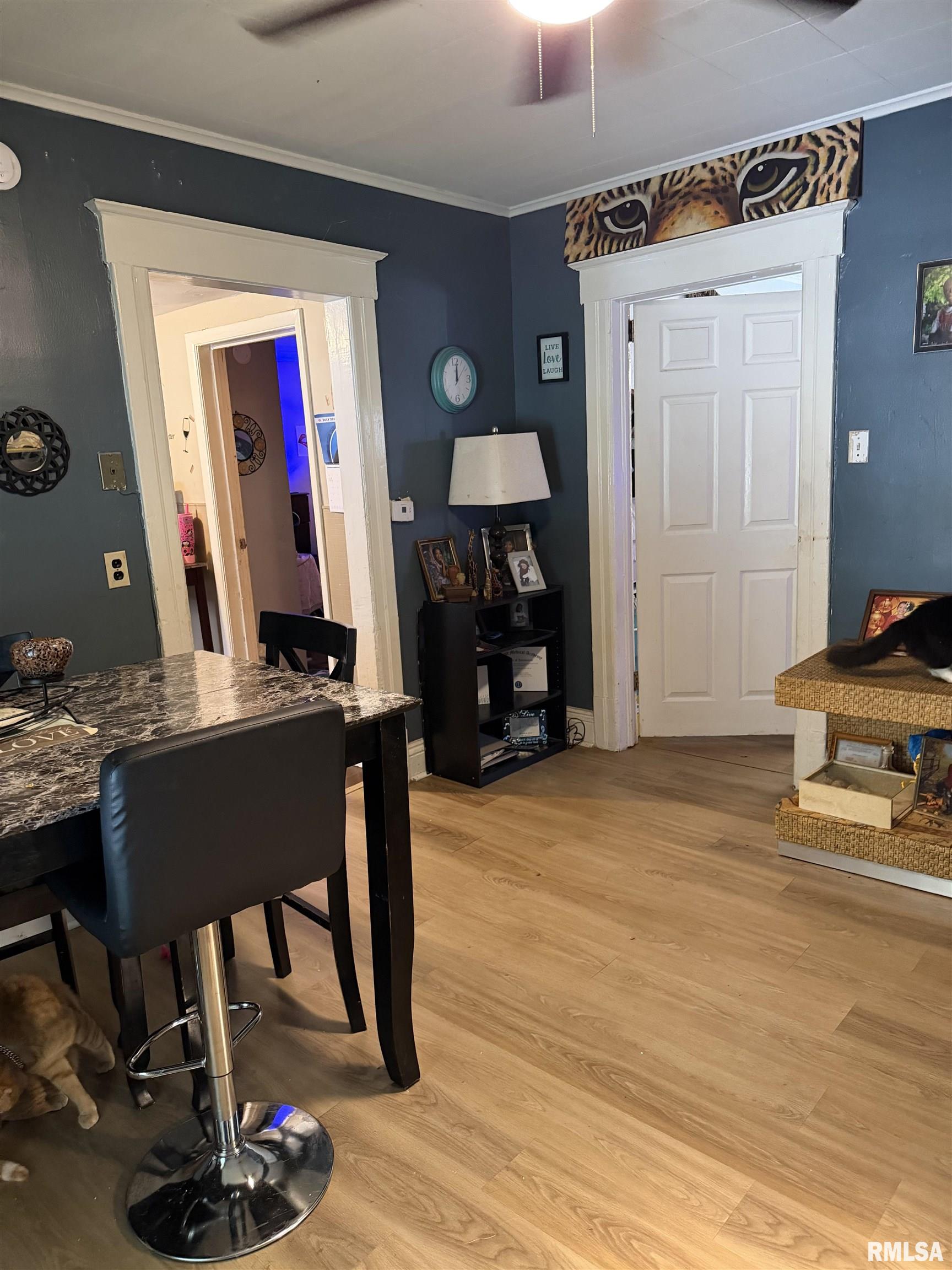 1707 East Moffat Avenue Springfield, IL 62702 - Photo 5 of 16