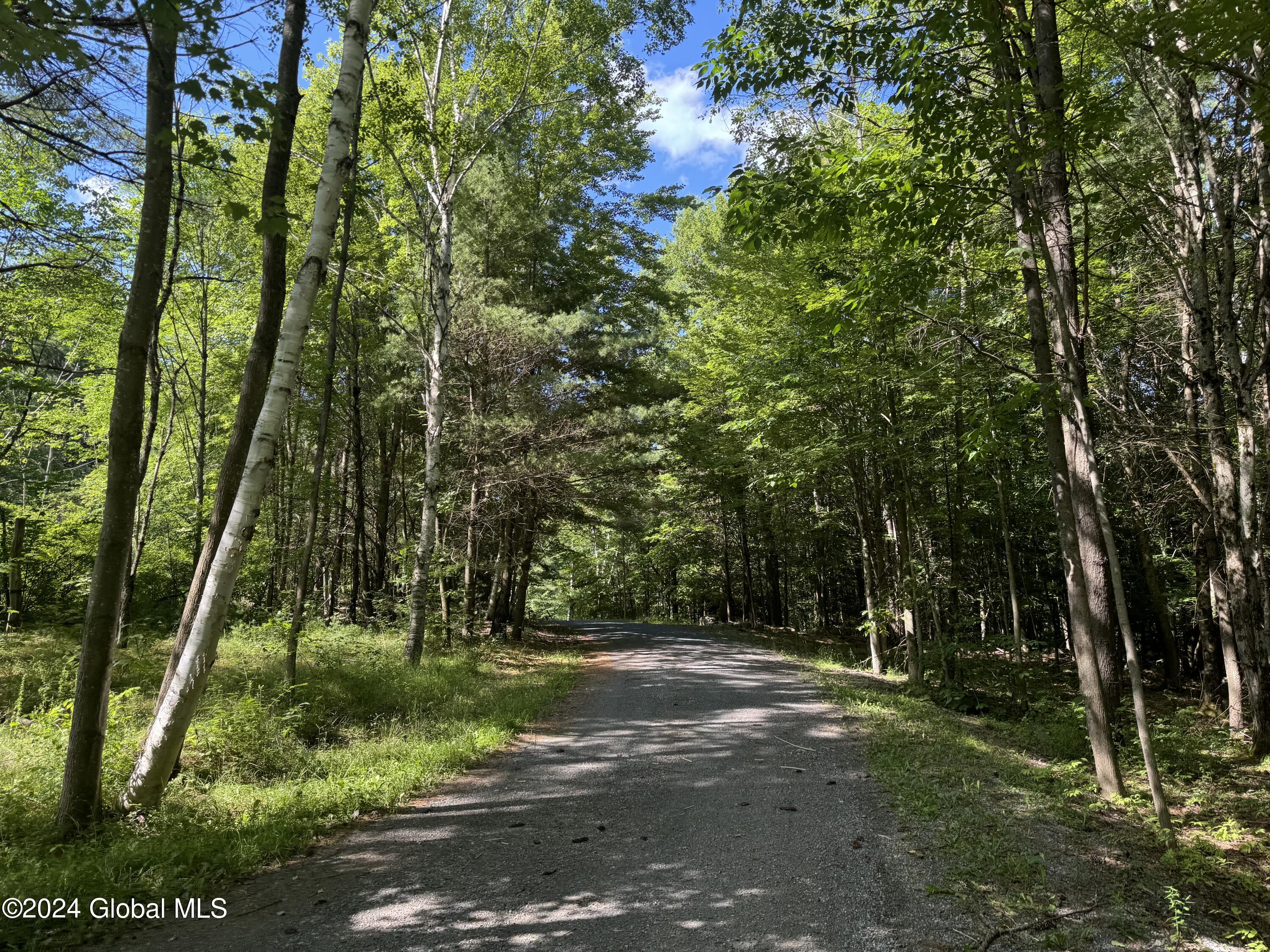 564 Valley Woods Road Bolton, NY 12814 - Photo 2 of 6 IMG_0518