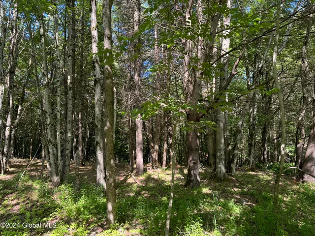 $124,500 | 564 Valley Woods Road, Bolton, NY 12814