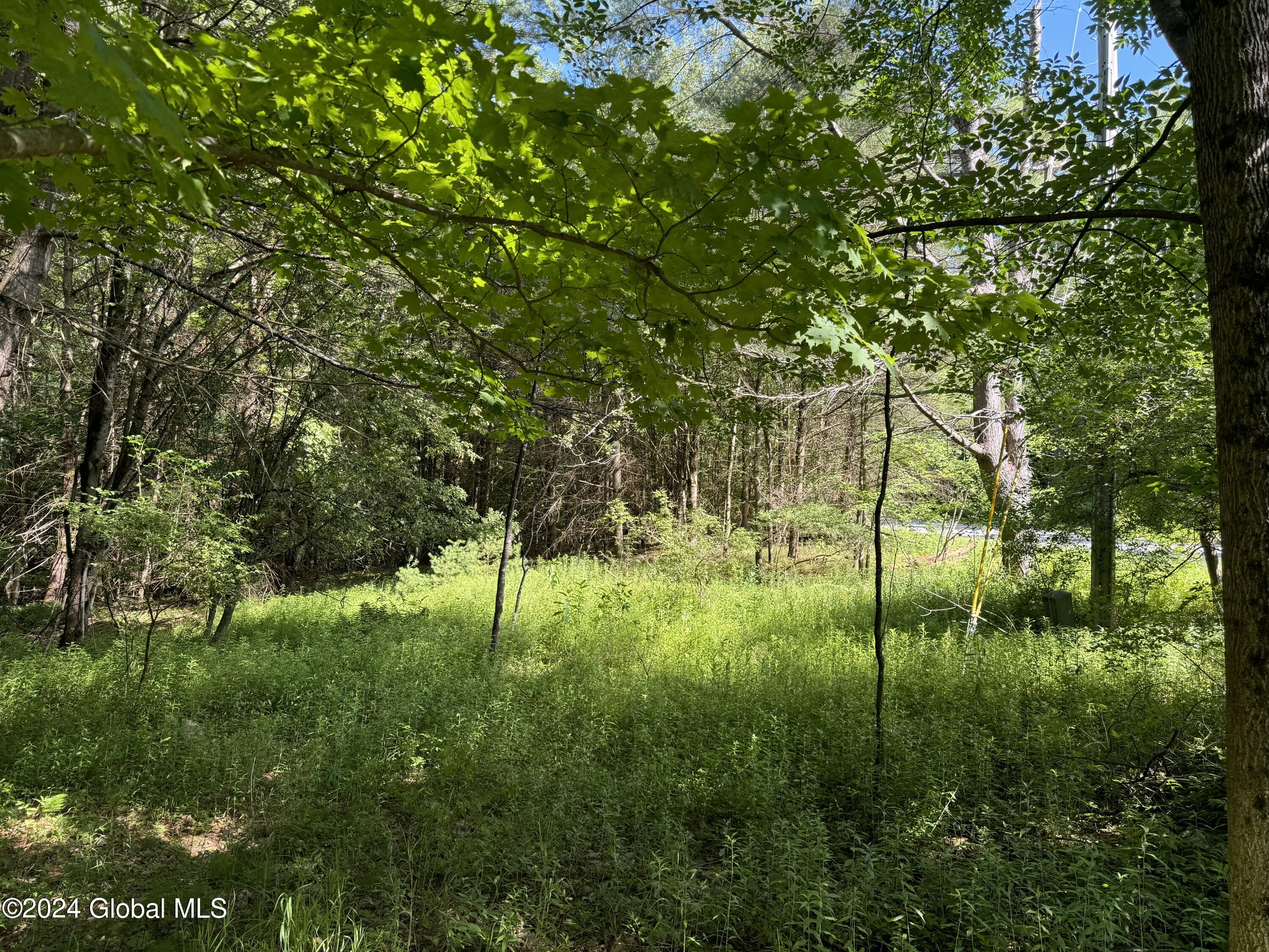 564 Valley Woods Road Bolton, NY 12814 - Photo 4 of 6 IMG_0520