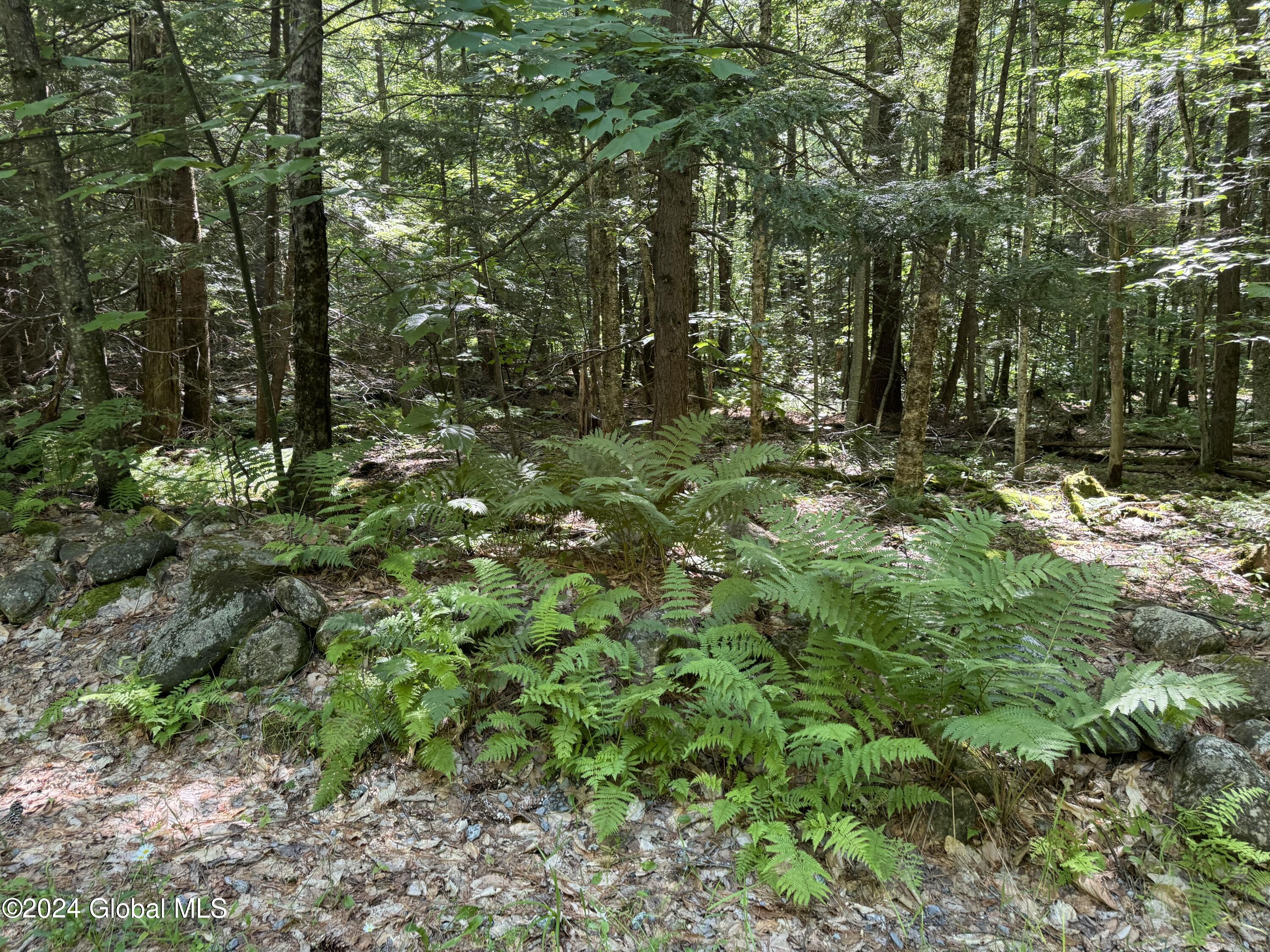 564 Valley Woods Road Bolton, NY 12814 - Photo 5 of 6 IMG_0521