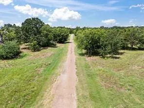 a view of a pathway both side of yard