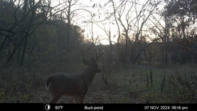 Northwest Waller Road Richmond, MO 64085 - Photo 58 of 80