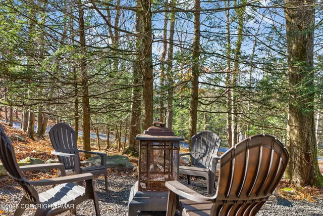 a view of a yard with large trees