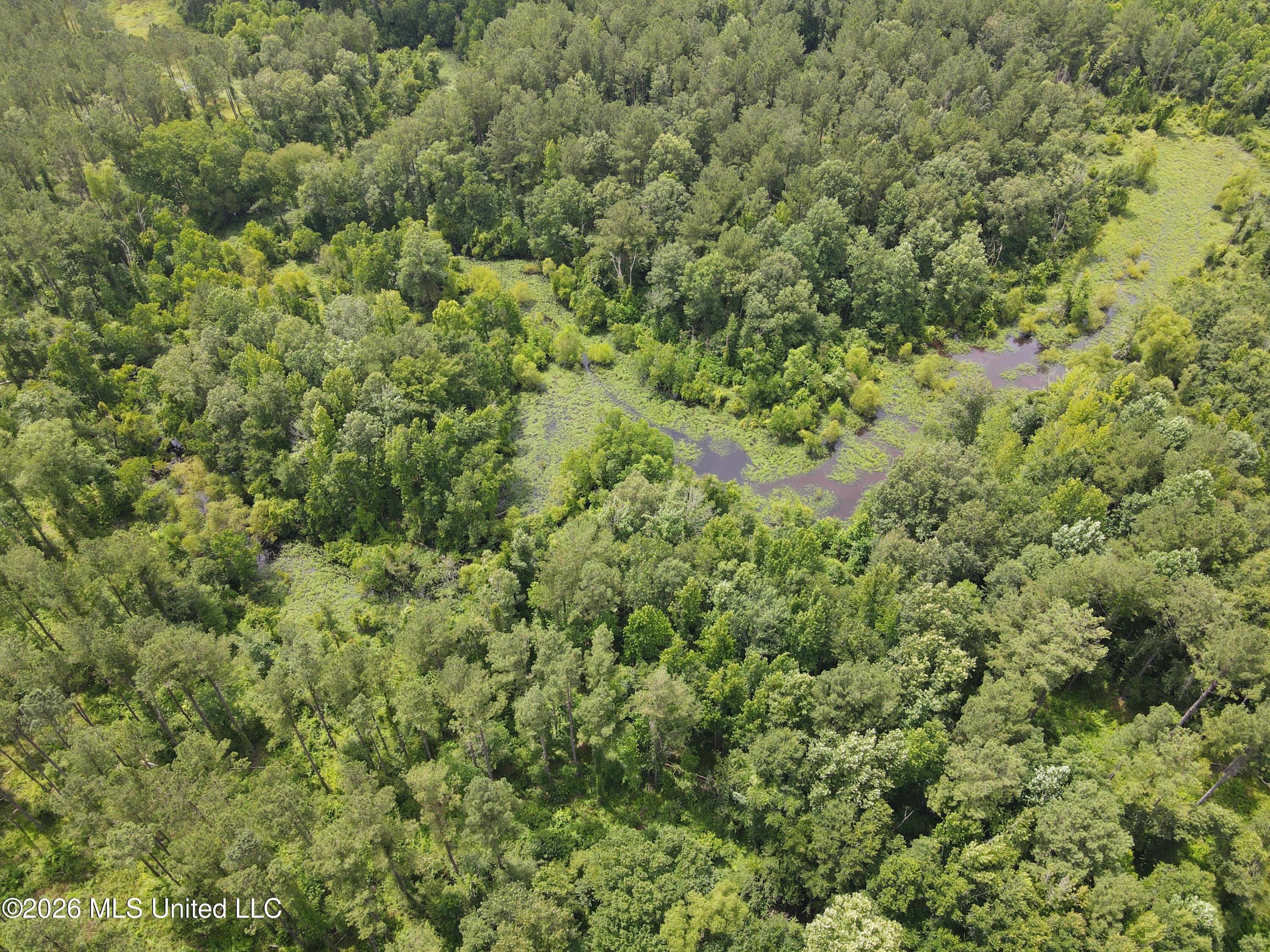 244 Foster Road Sontag, MS 39665 - Photo 70 of 105 35651