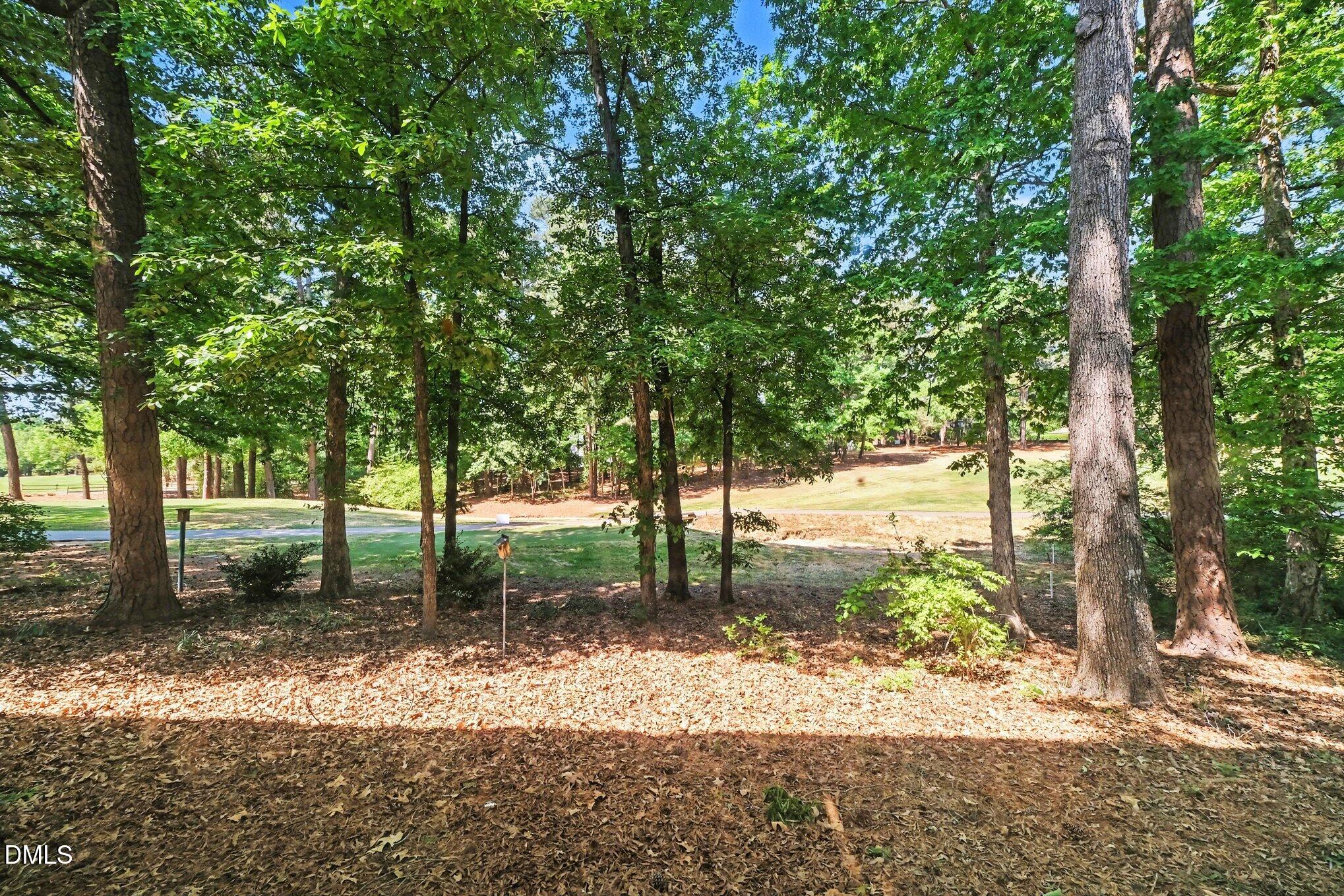 1911 Front Street, Unit 3B Durham, NC 27705 - Photo 29 of 33 a view of a yard with plants and trees