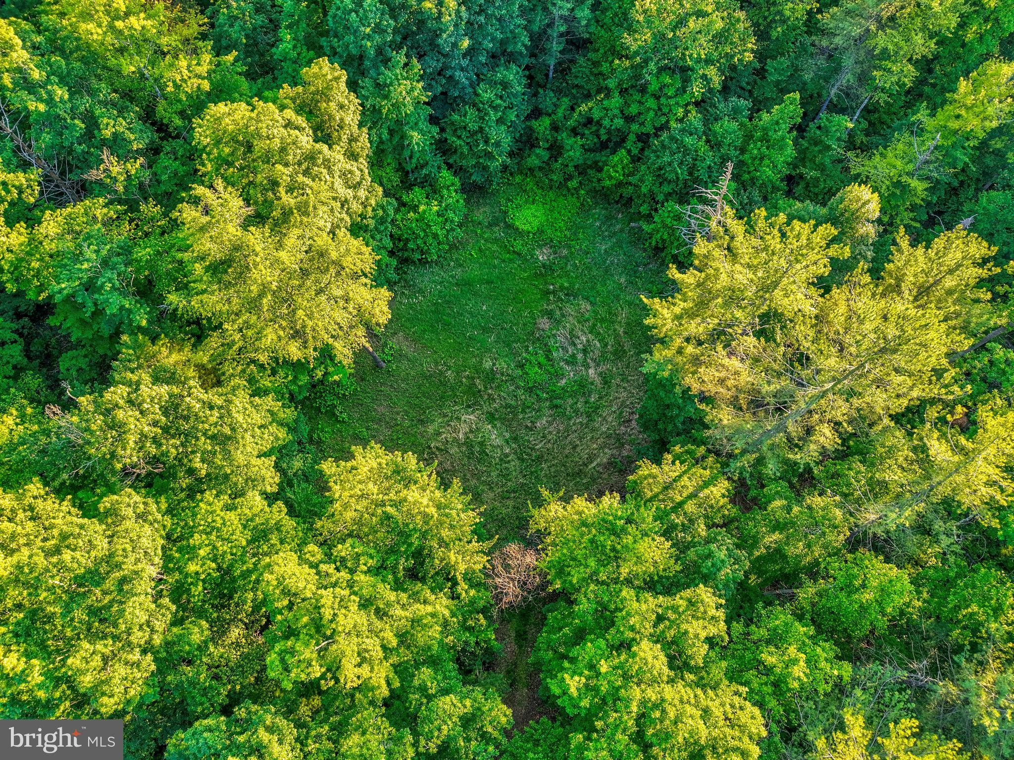 Lot 27-66b Kovi Ridge Trail Reva, VA 22735 - Photo 13 of 20