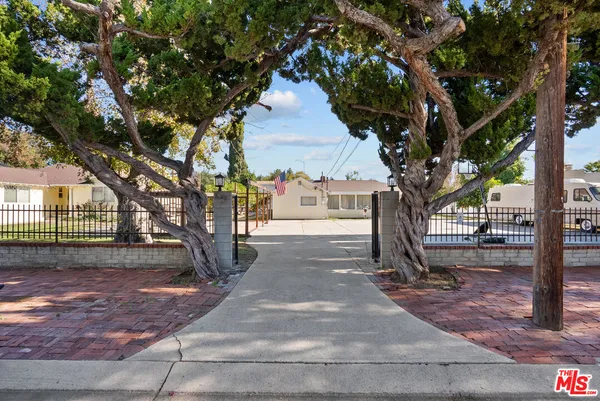 a tree in the middle of a yard