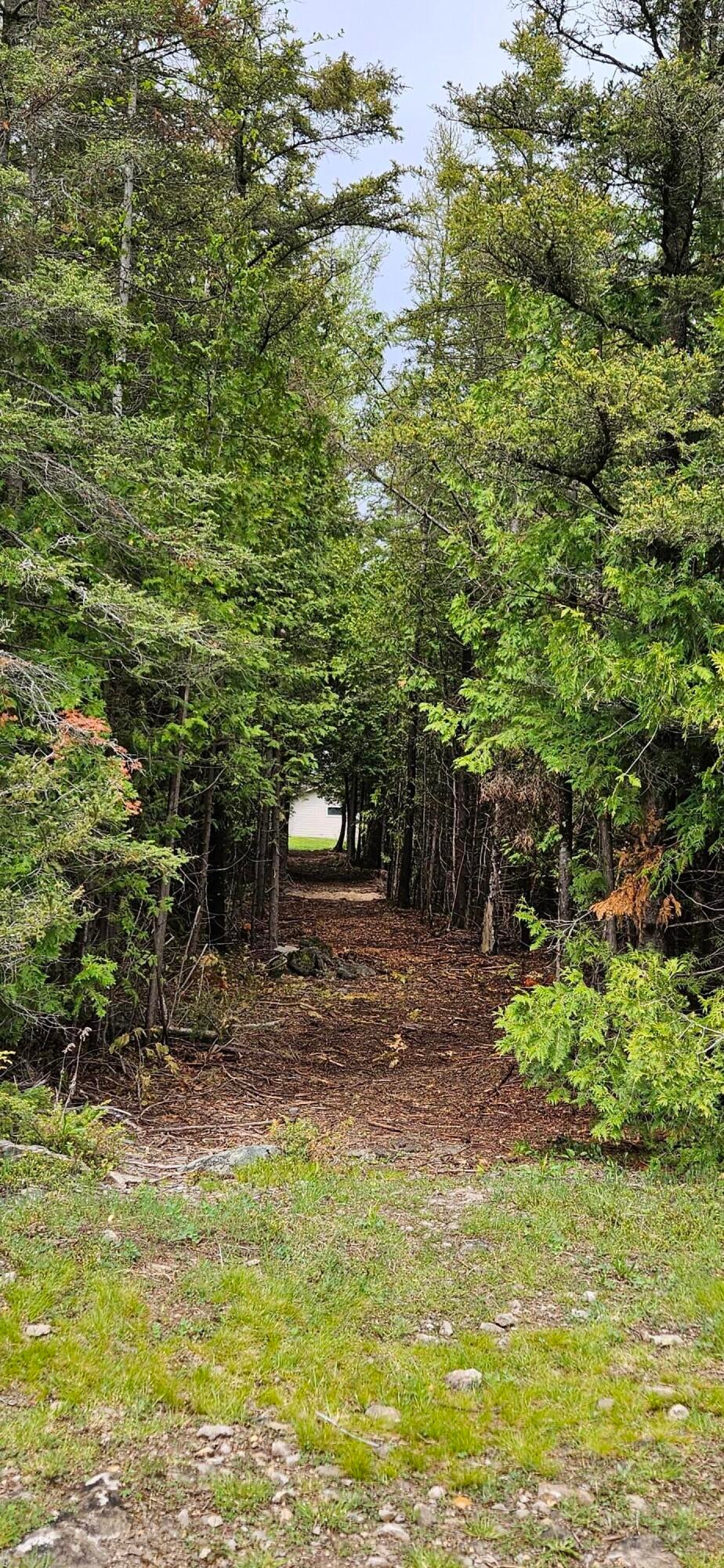 2460 West Hamilton Road Alpena, MI 49707 - Photo 36 of 36 Path from house to pole barn