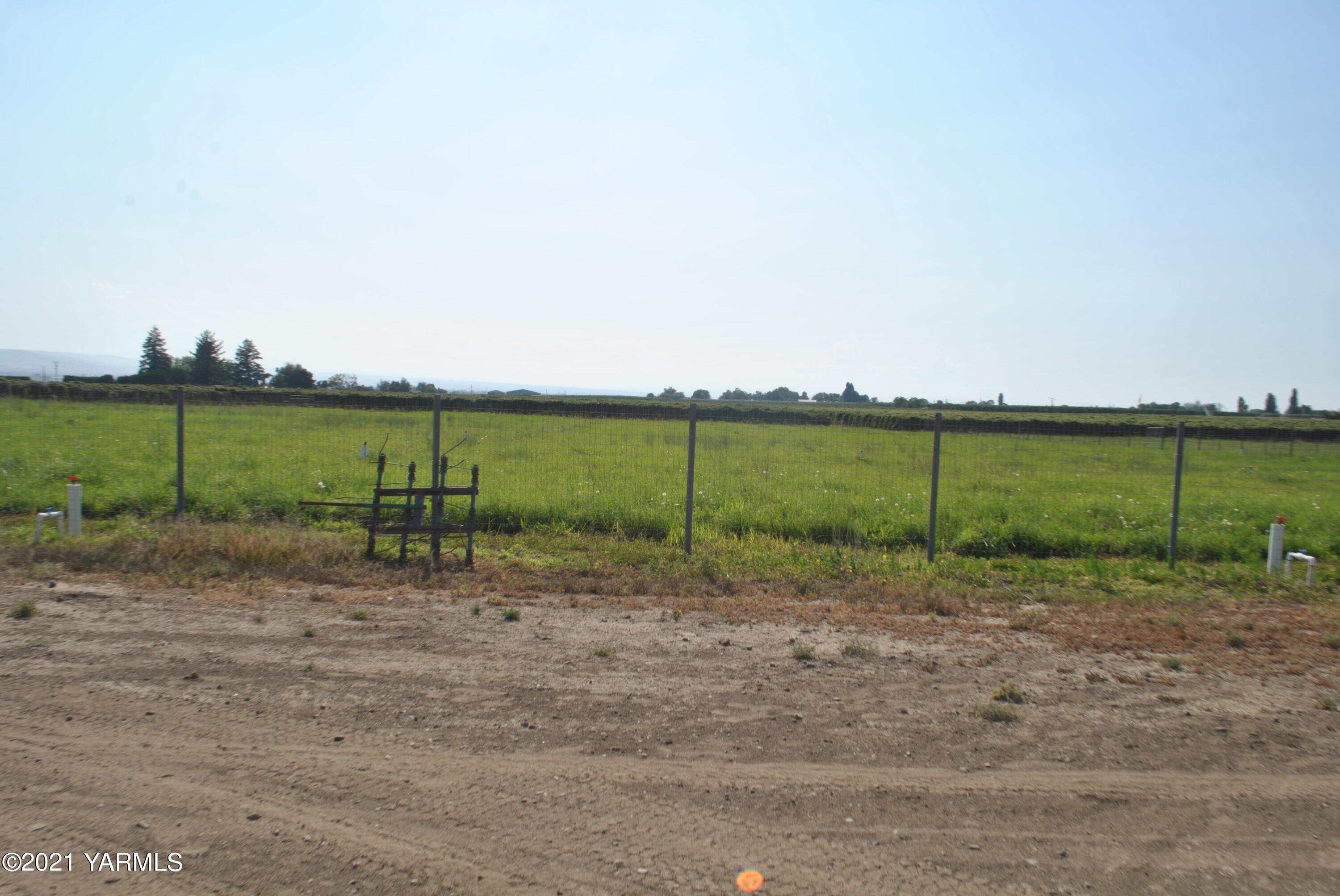 1890 County Line Road Grandview, WA 98930 - Photo 6 of 19 DSC_4066