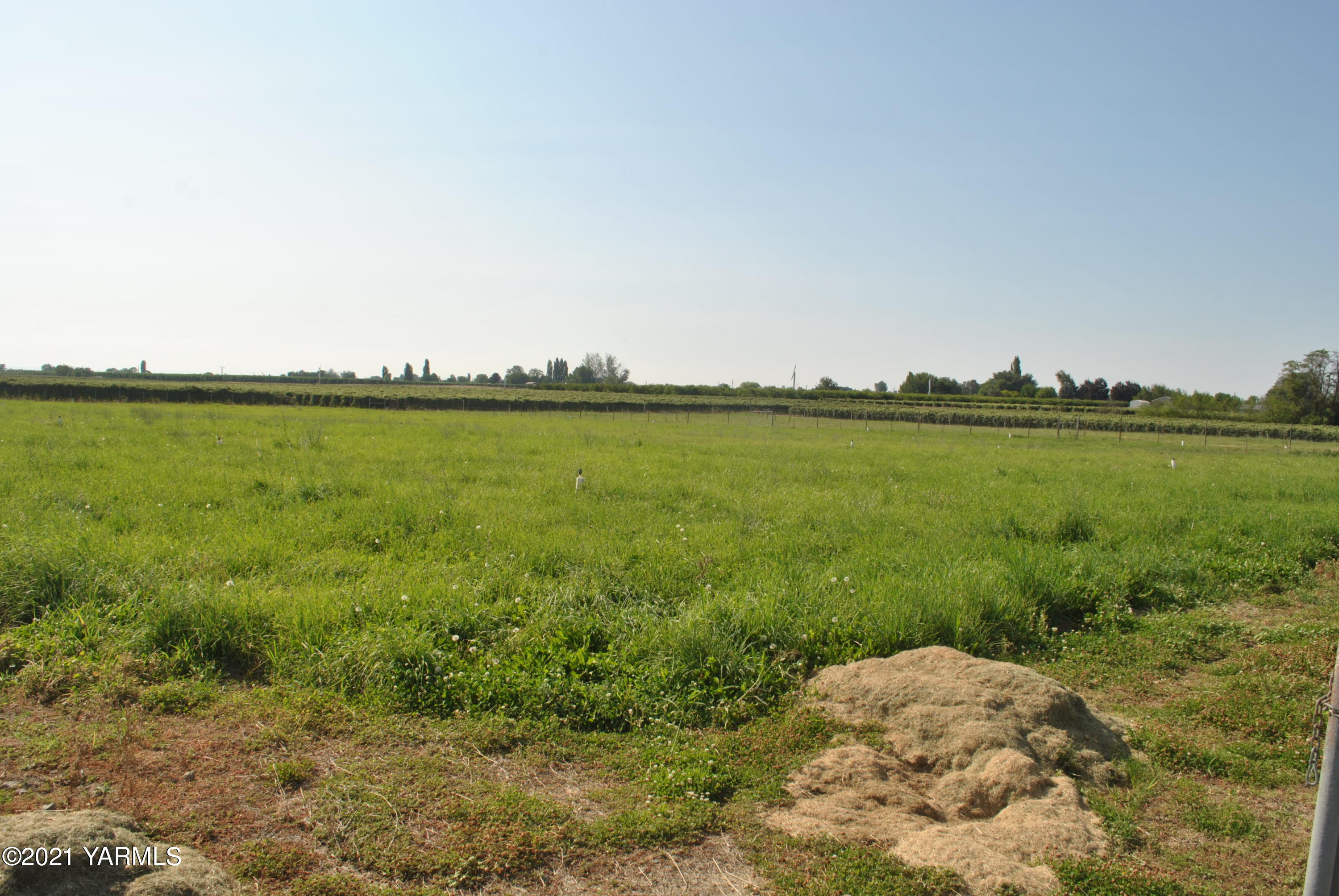 1890 County Line Road Grandview, WA 98930 - Photo 9 of 19 DSC_4069