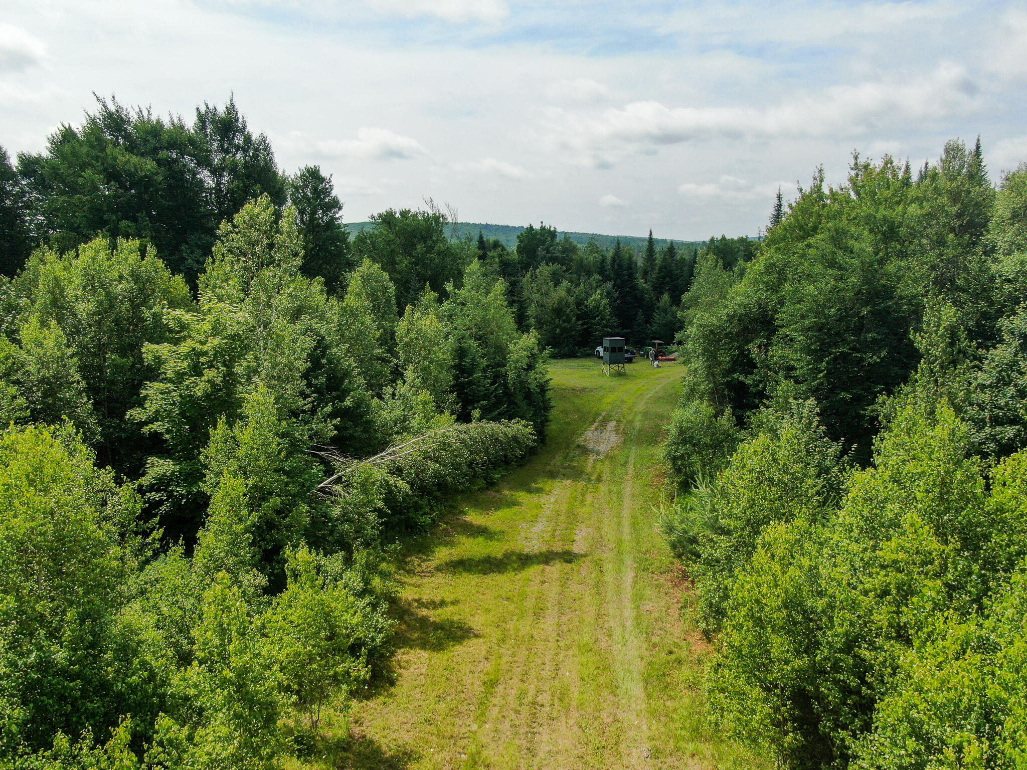 M11-l11 Sheepskin Road Carroll Plt, ME 04487 - Photo 7 of 47 5