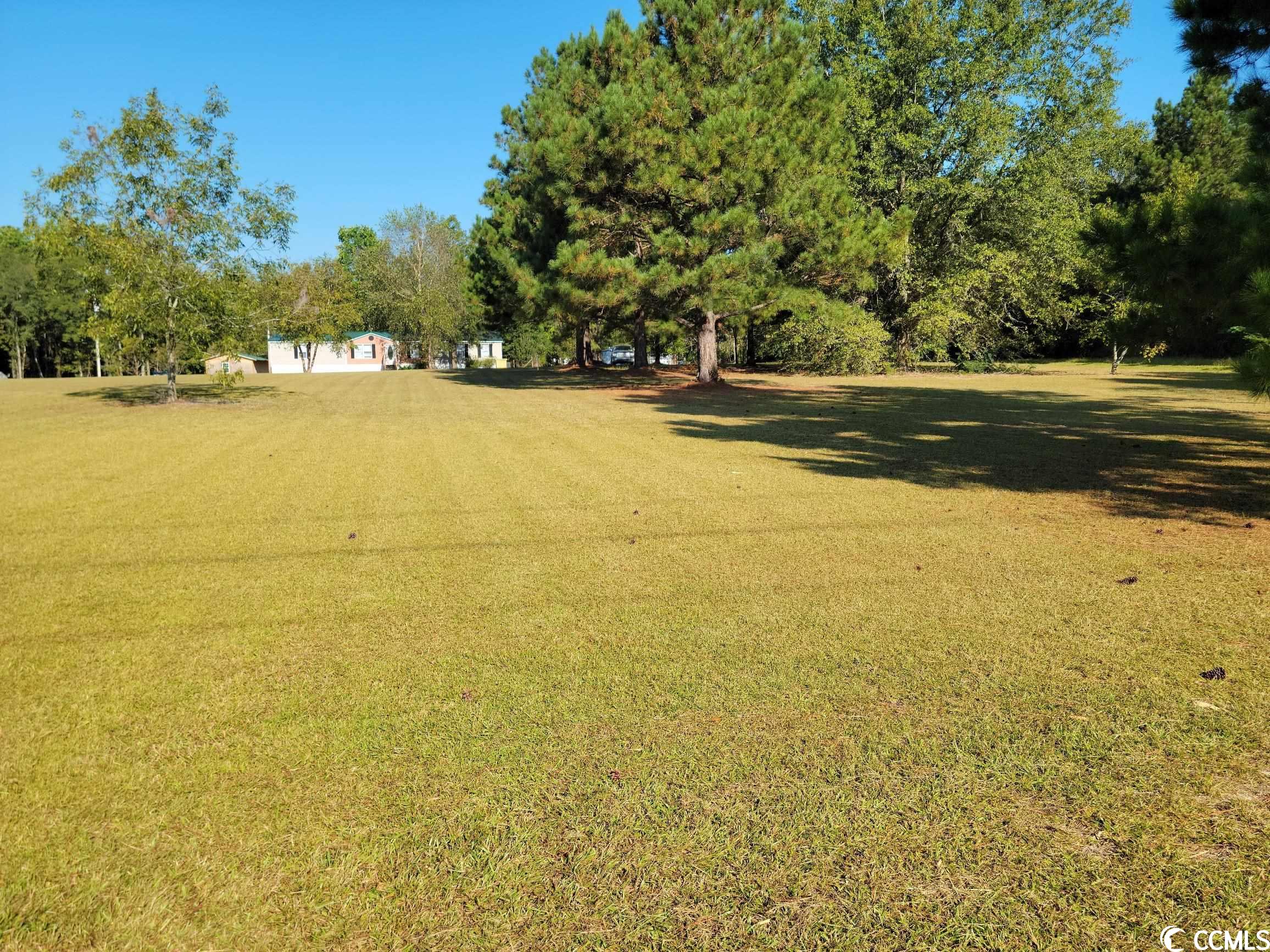 2484 Bill Davis Road Manning, SC 29102 - Photo 13 of 17 Gallery Image 13