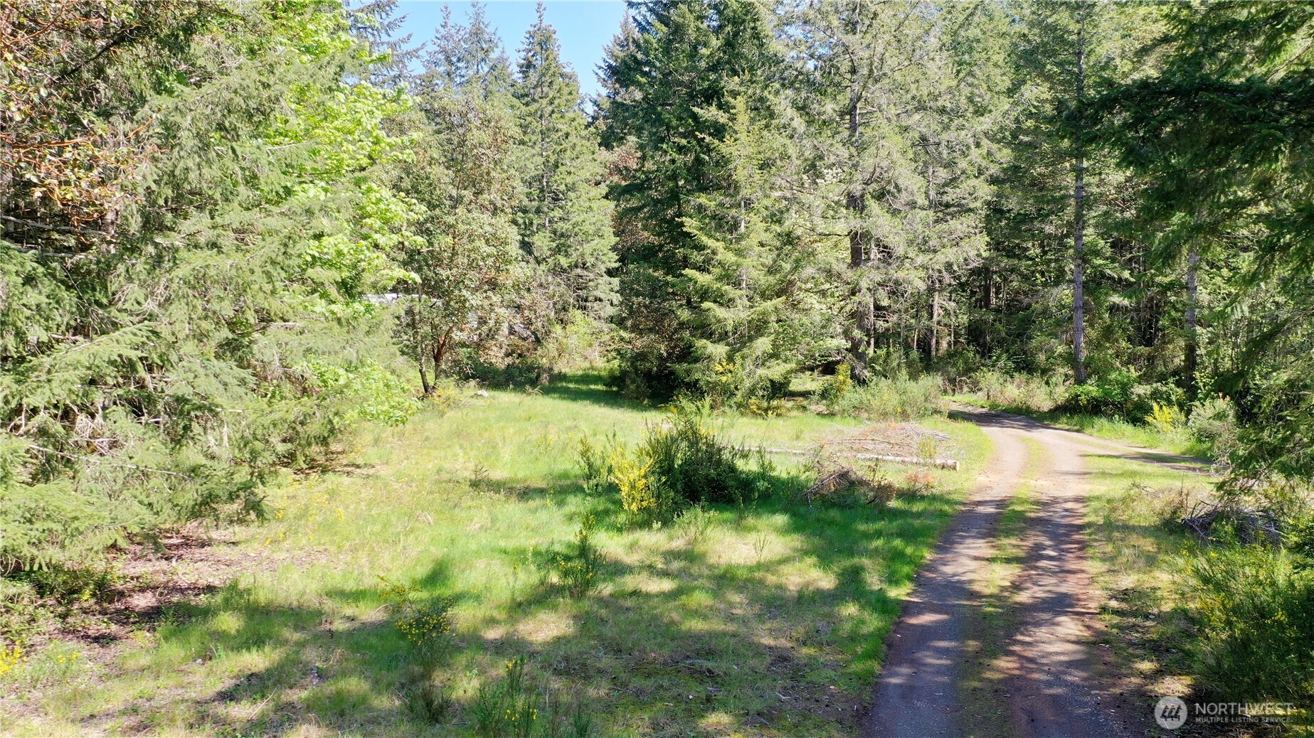 231 East Strong Road Shelton, WA 98584 - Photo 10 of 13 a view of a lake with large trees