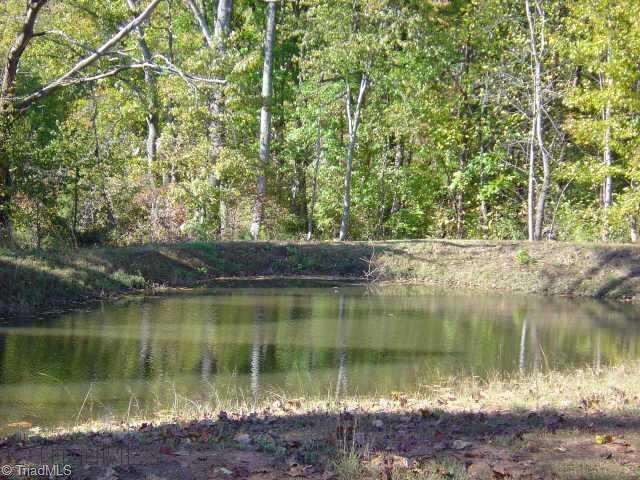 8121 Shoeline Road Stokesdale, NC 27357 - Photo 4 of 9 Other.