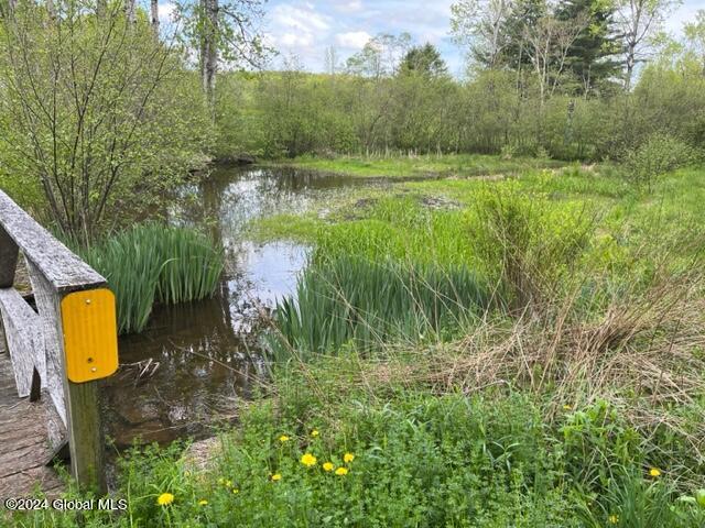 1192 Champlin Road Jefferson, NY 12093 - Photo 14 of 28 IMG_2925