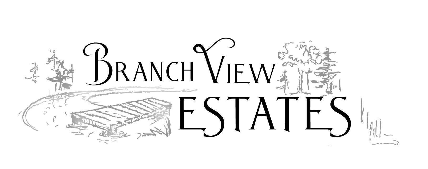 Tbd Tbd Branch View Terrace, Unit LOT 1 Alfred, ME 04002 - Photo 4 of 15 Branch View Estates