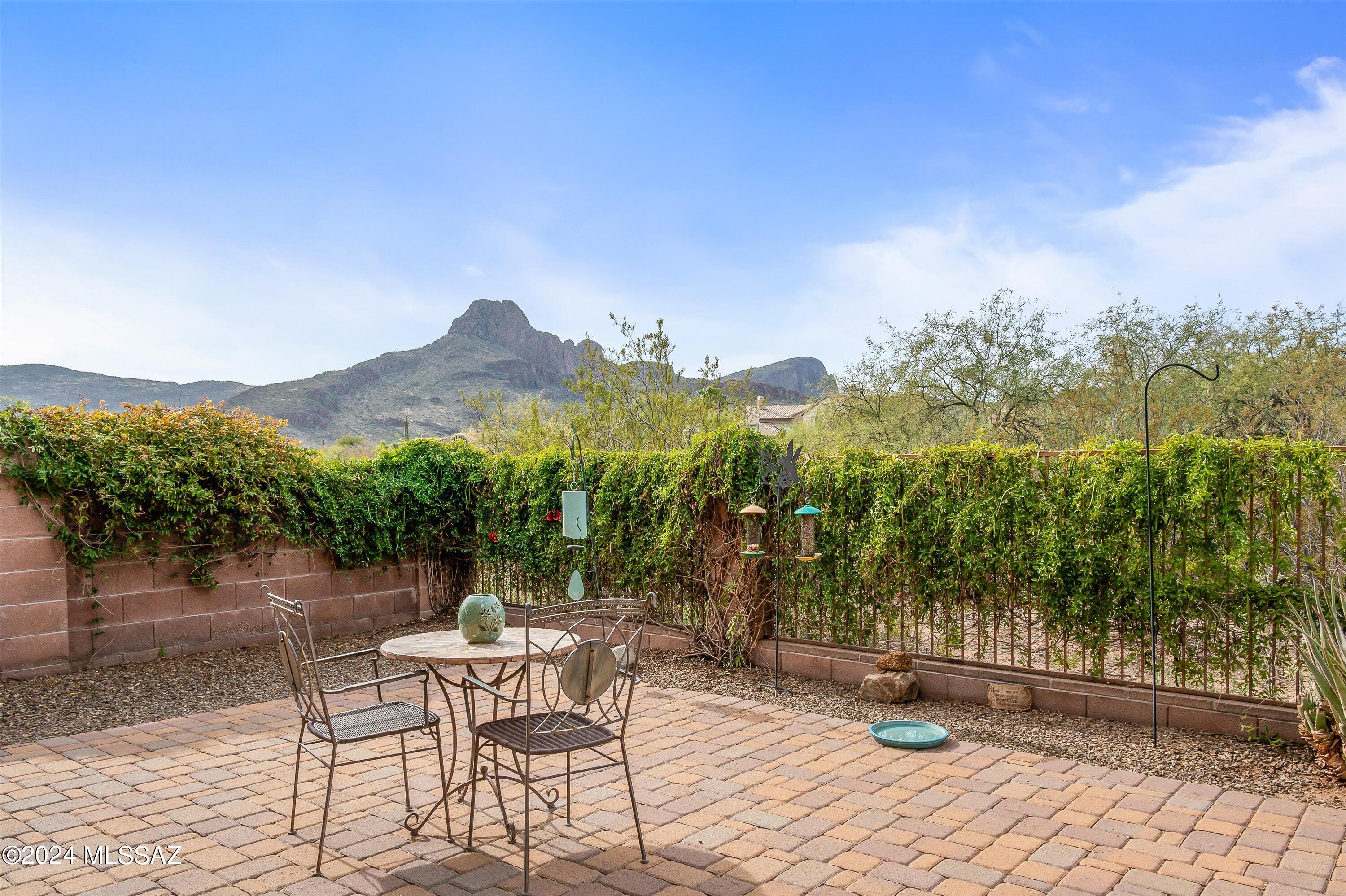 8579 North Shadow Wash Way Tucson, AZ 85743 - Photo 31 of 34 an outdoor view of garden with patio