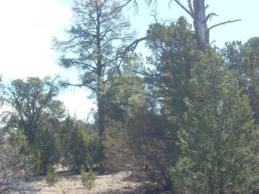 3241 Bigler Road Overgaard, AZ 85933 - Photo 11 of 17 Gallery Image 11