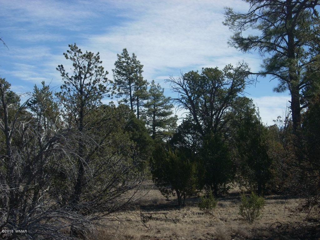 3241 Bigler Road Overgaard, AZ 85933 - Photo 13 of 17 Gallery Image 13