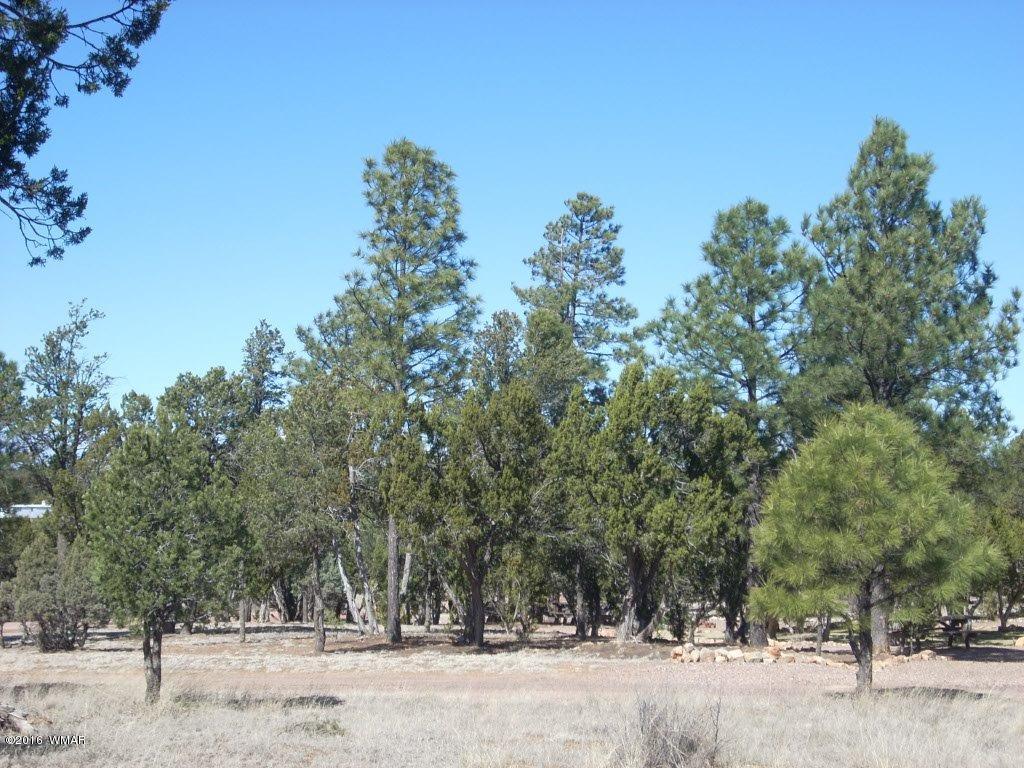 3241 Bigler Road Overgaard, AZ 85933 - Photo 15 of 17 Gallery Image 15
