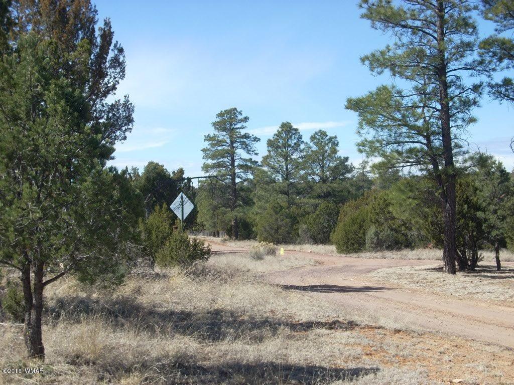 3241 Bigler Road Overgaard, AZ 85933 - Photo 16 of 17 Gallery Image 16