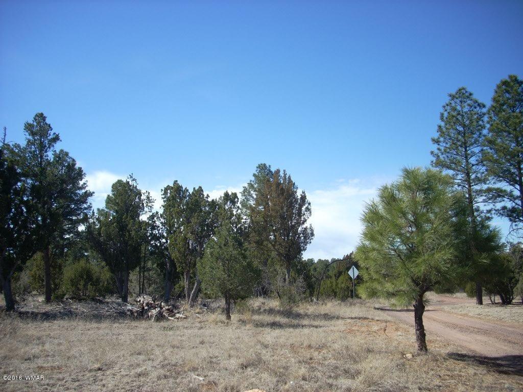 3241 Bigler Road Overgaard, AZ 85933 - Photo 5 of 17 Gallery Image 5