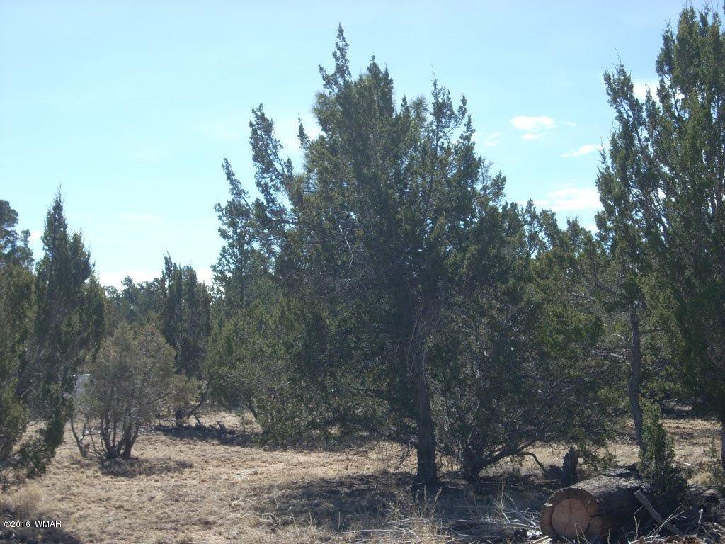 3241 Bigler Road Overgaard, AZ 85933 - Photo 10 of 17 Gallery Image 10