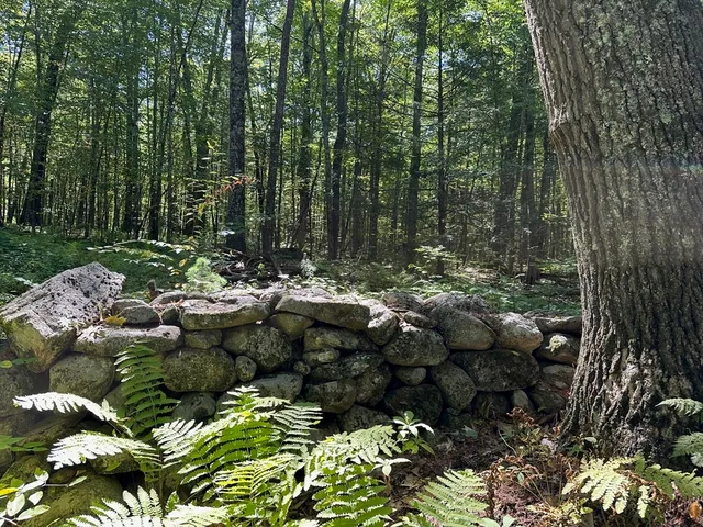 a picture of lake view