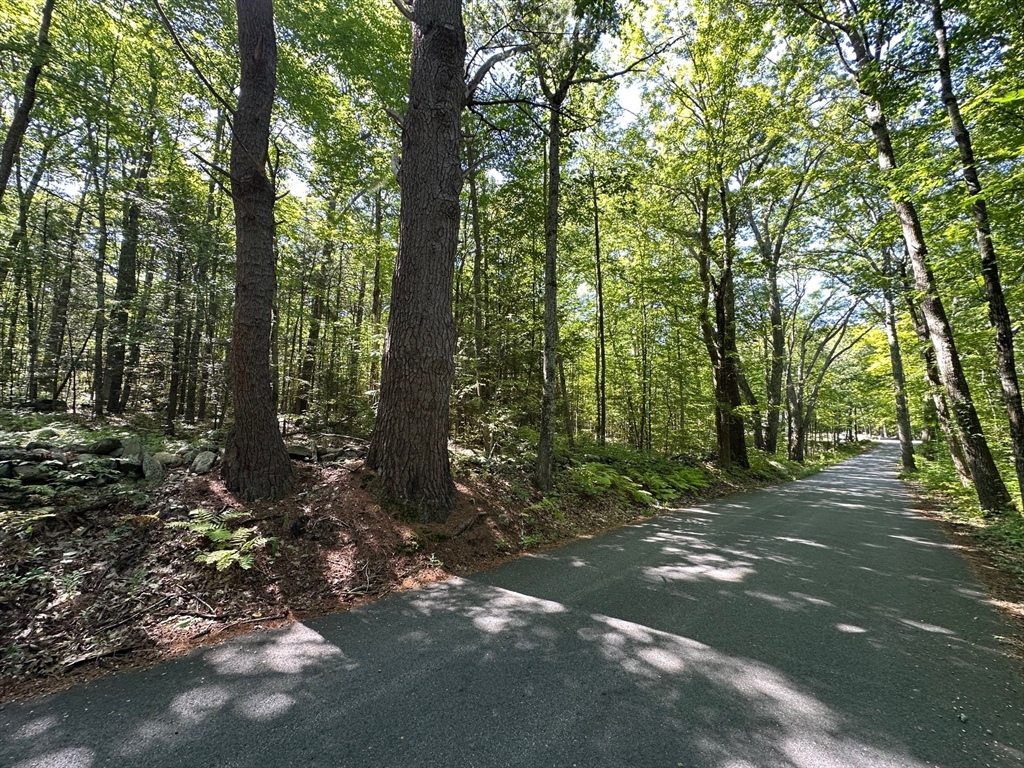 0 Nichewaug Road Petersham, MA 01366 - Photo 3 of 6 Gallery Image 3