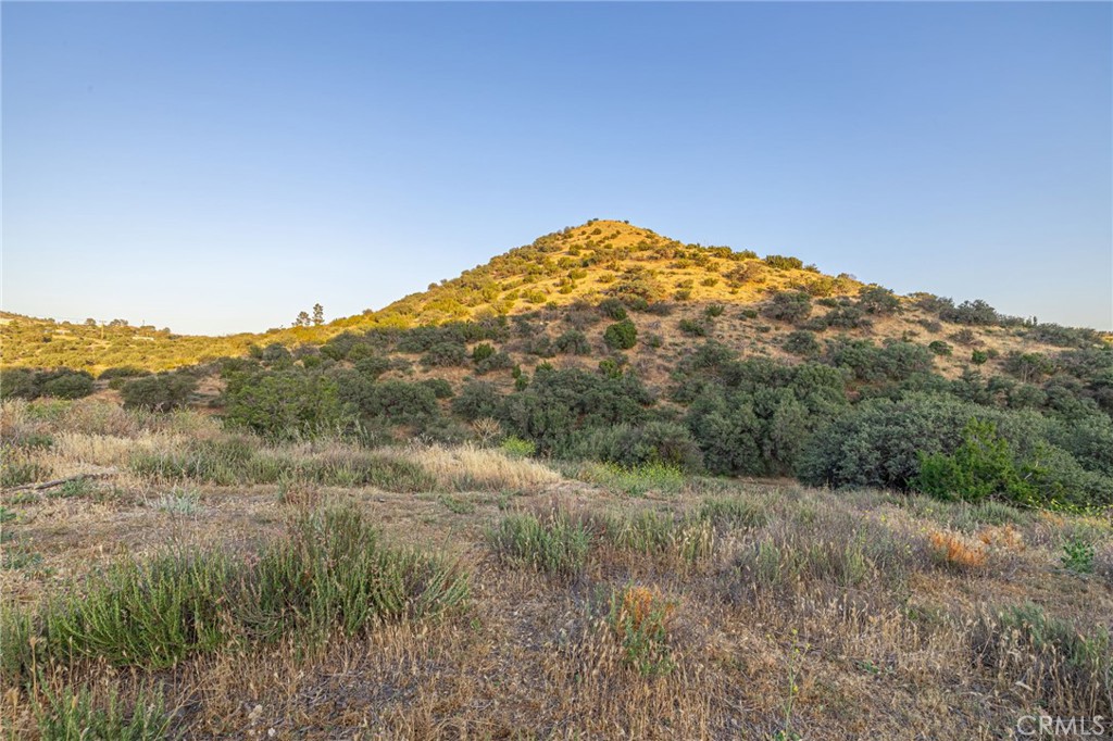 6780 Hubbard Road Acton, CA 93510 - Photo 28 of 36 a view of a dry yard