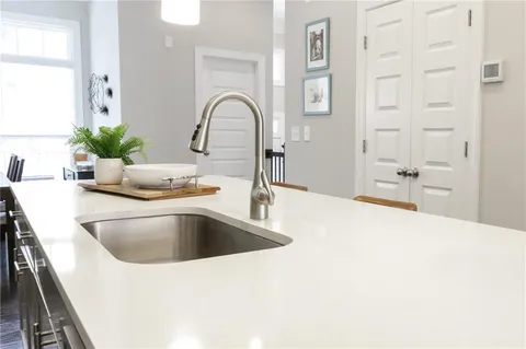 a close view of a sink a faucet a potted plant and a counter space