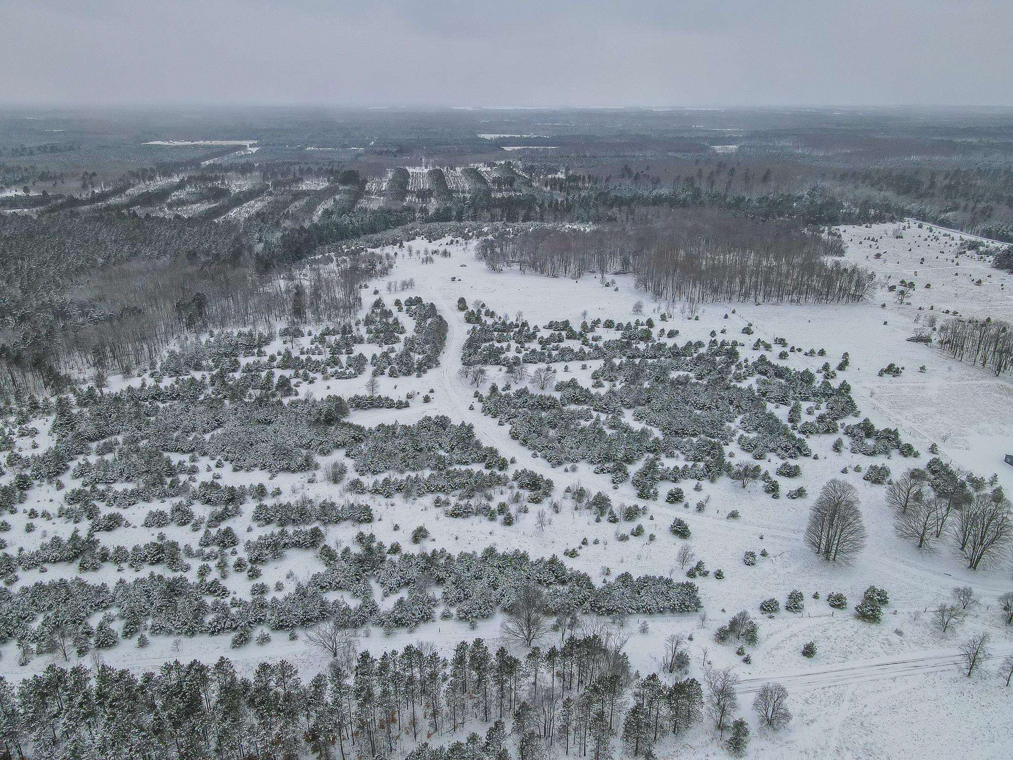 81-acres North 25 Road Buckley, MI 49620 - Photo 10 of 36