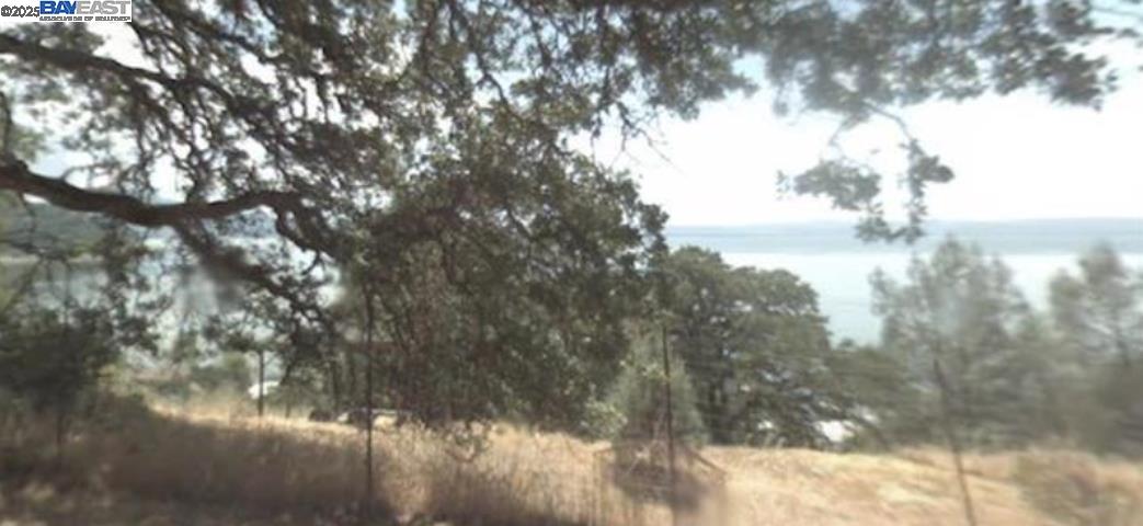 3062 Atholl Road Lucerne, CA 95458 - Photo 6 of 6 a view of a yard