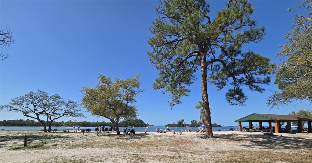 4454 Tucker Square New Port Richey, FL 34652 - Photo 54 of 64 a view of a backyard with a large tree
