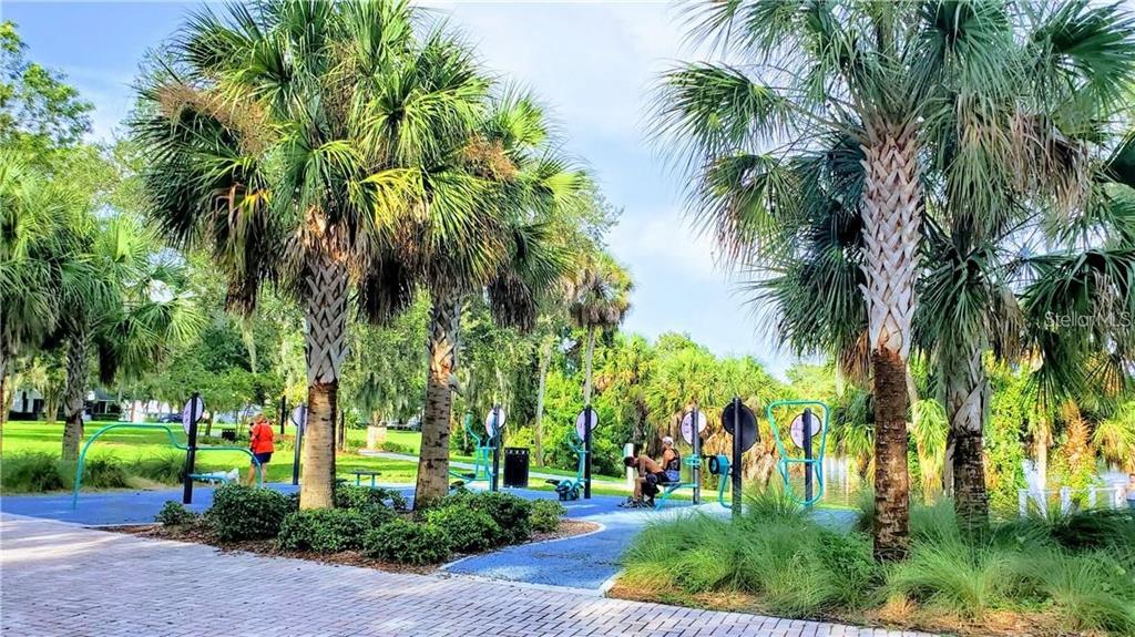 4454 Tucker Square New Port Richey, FL 34652 - Photo 64 of 64 a view of a park with palm trees