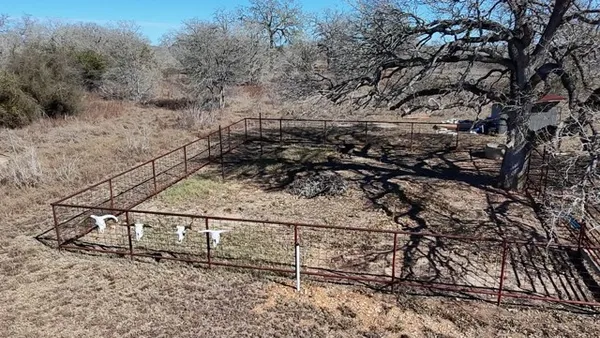 a view of a dry yard with wooden fence