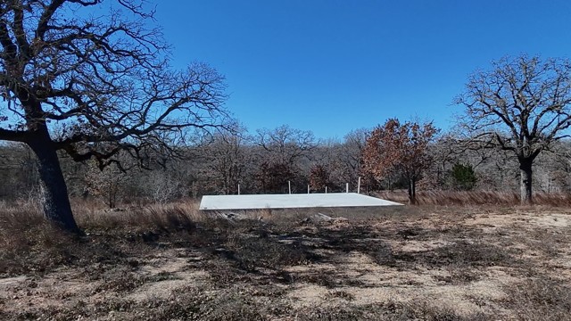 266 Catfish Lane Lockhart, TX 78644 - Photo 6 of 7 View of yard