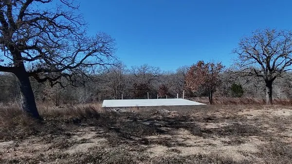 a view of a dry yard with trees