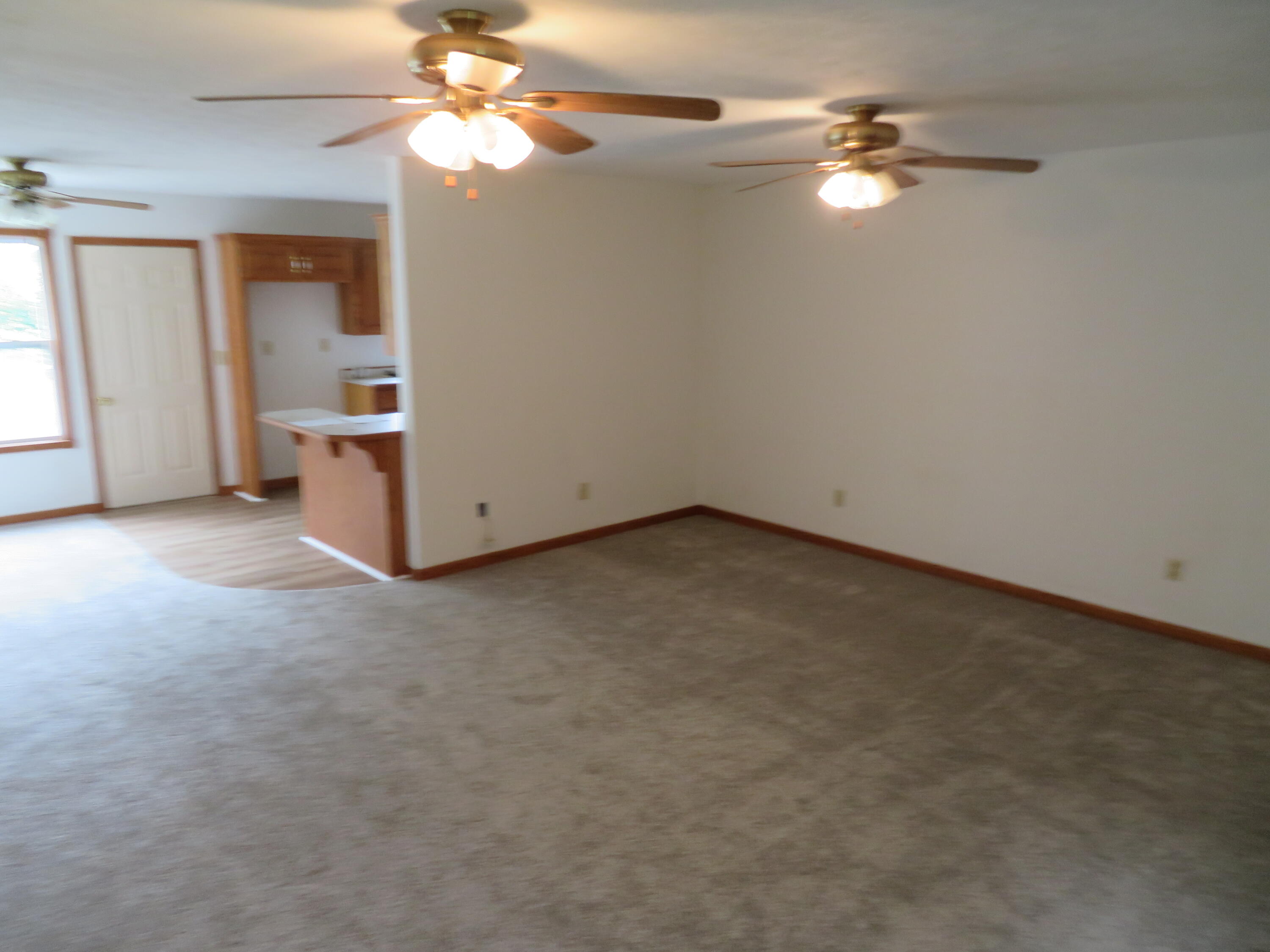 411 East 330th Road Humansville, MO 65674 - Photo 14 of 29 IMG_4928