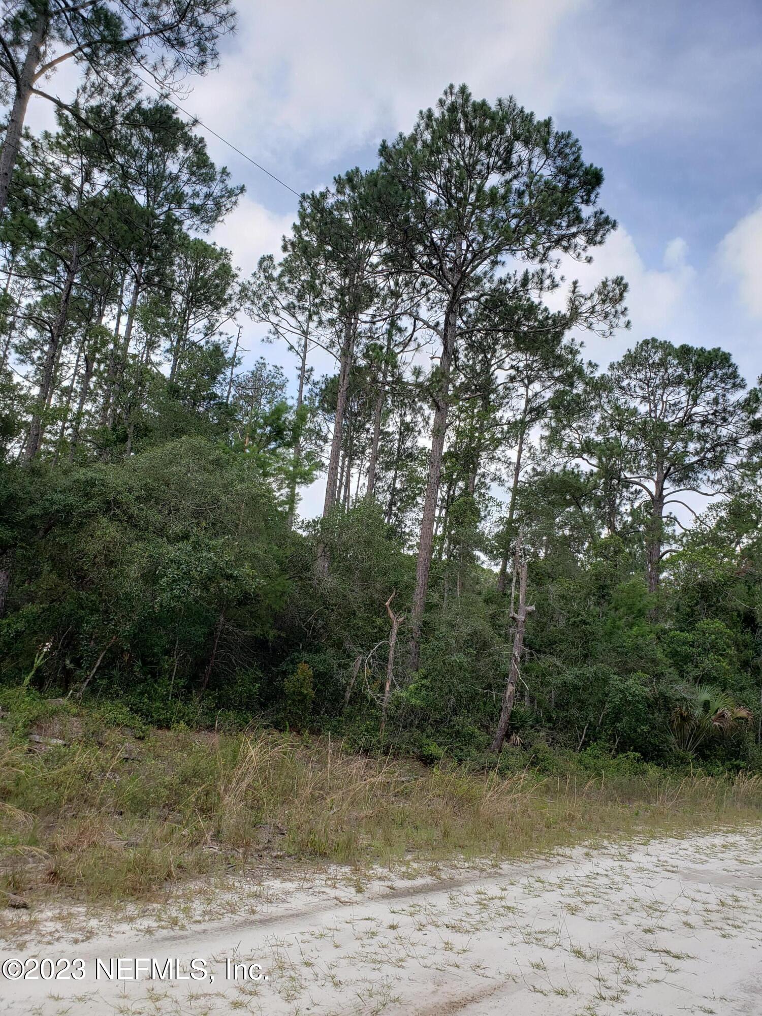 a view of a yard with plants and a bench